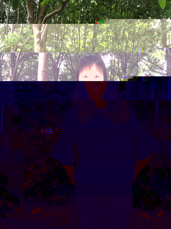 2052D 2052D